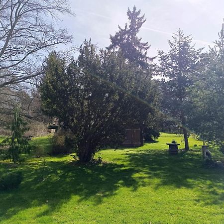 באד דירהיים Ferienwohnung Waldblick מראה חיצוני תמונה