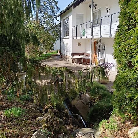באד דירהיים Ferienwohnung Waldblick מראה חיצוני תמונה
