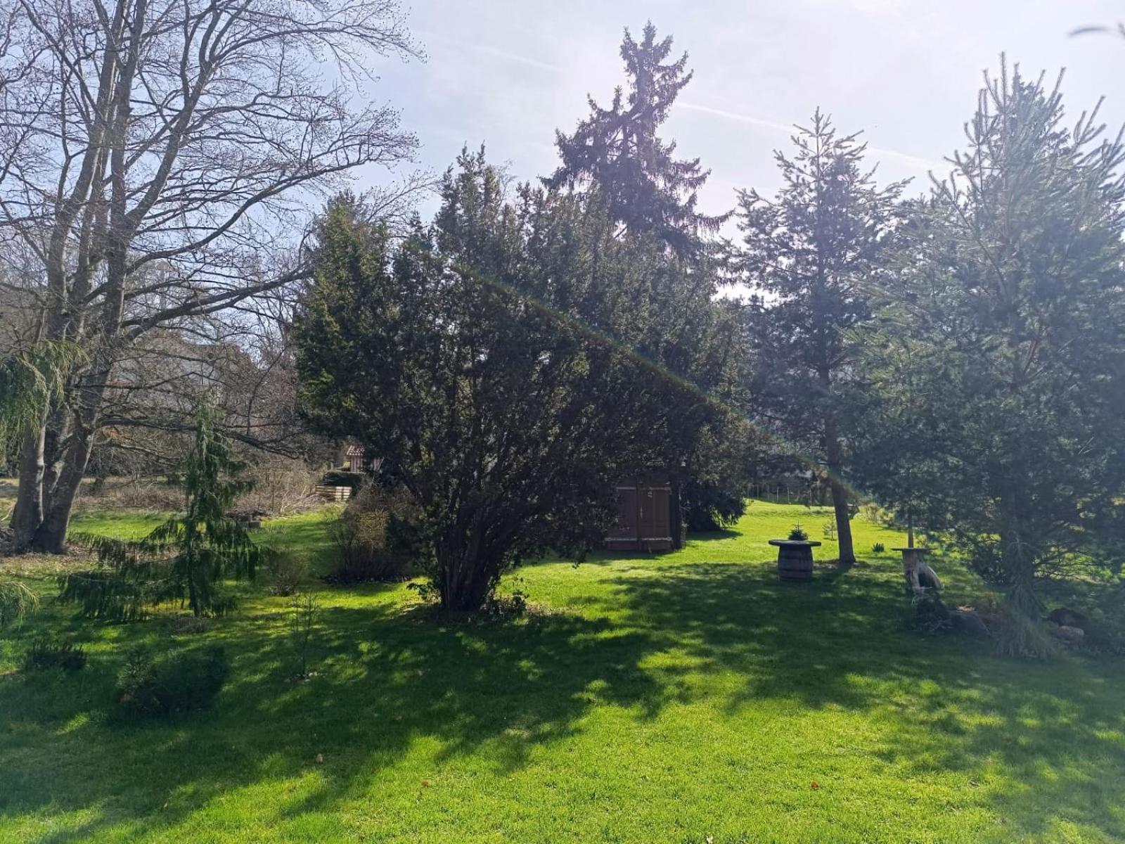 באד דירהיים Ferienwohnung Waldblick מראה חיצוני תמונה
