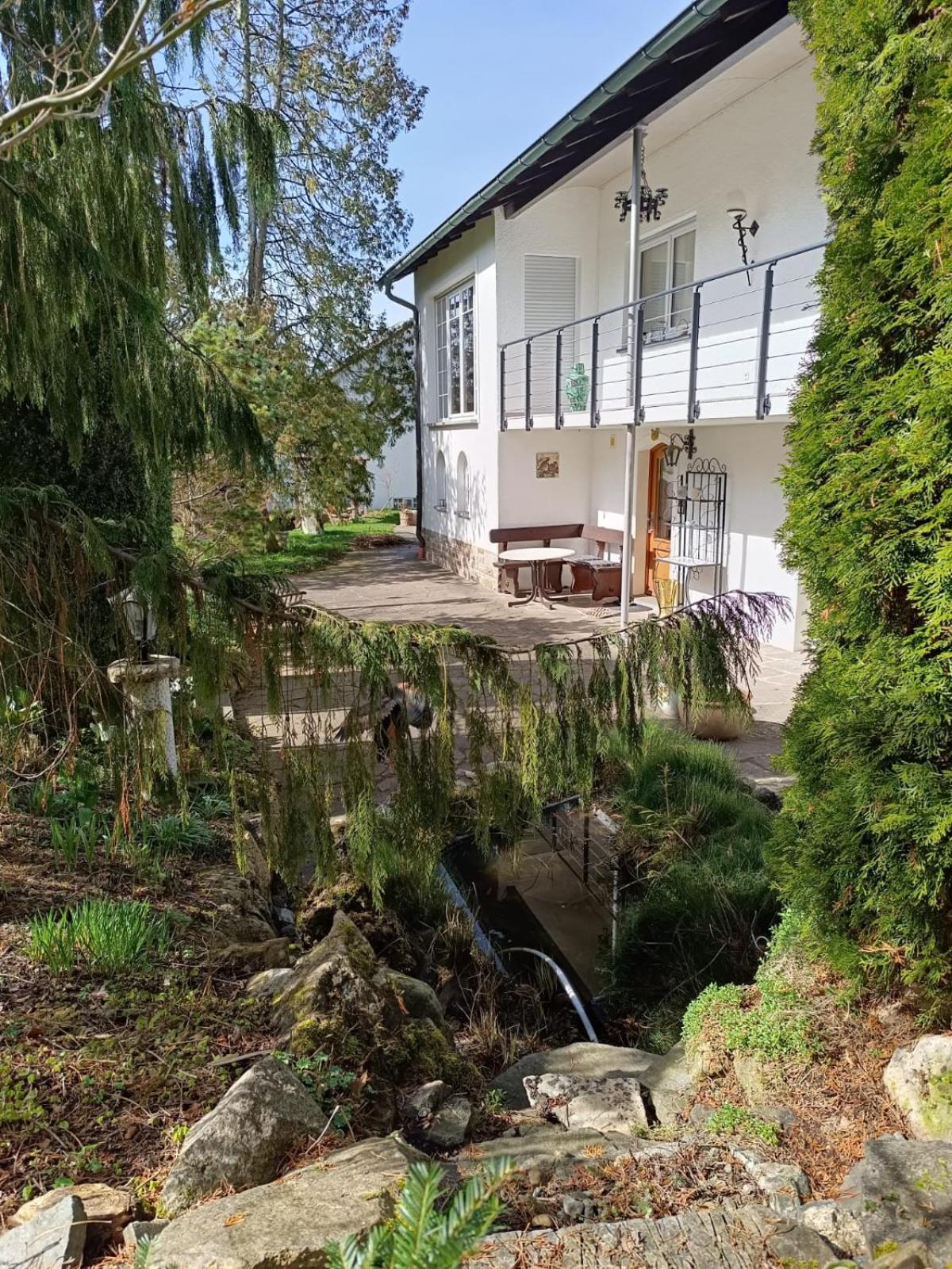 באד דירהיים Ferienwohnung Waldblick מראה חיצוני תמונה